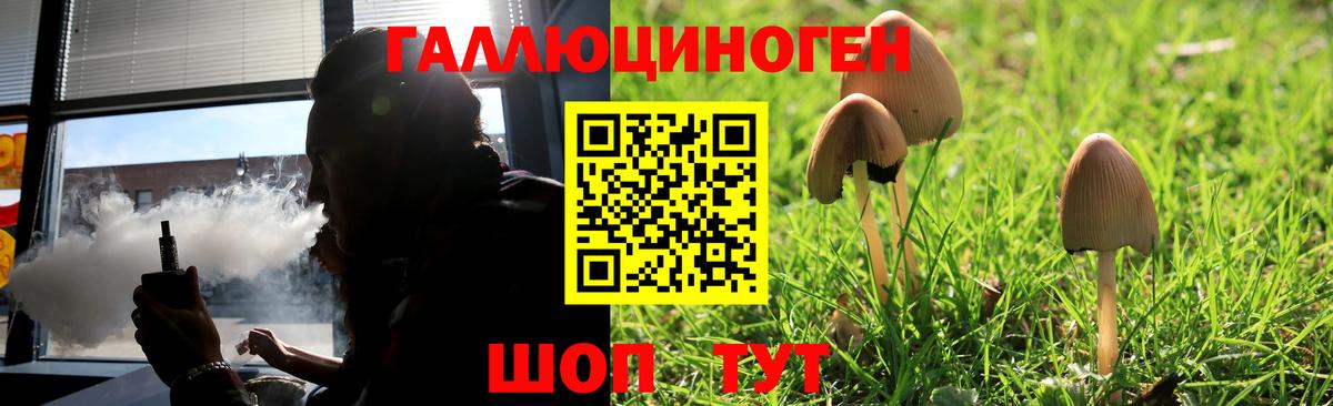Галлюциногенные грибы Асбест